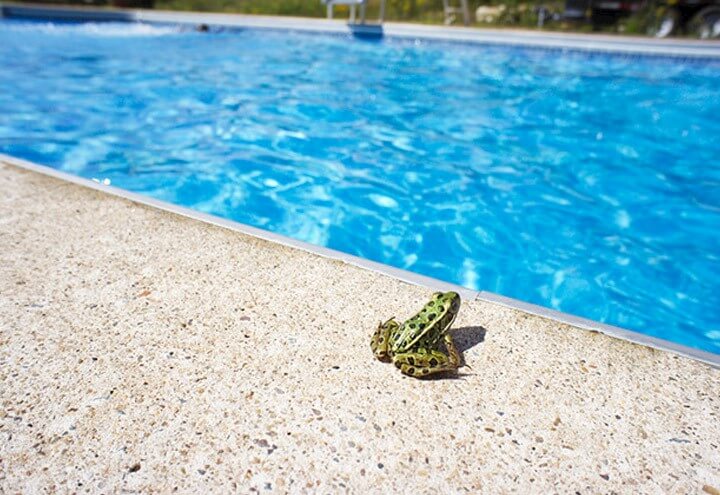 Gordon Ave Pools and Spa_Energy efficient pools and spas